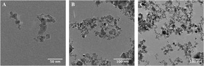 Investigating the Impact of Cerium Oxide Nanoparticles Upon the Ecologically Significant Marine Cyanobacterium Prochlorococcus